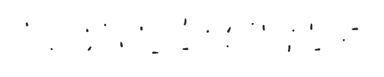 Bone Battle